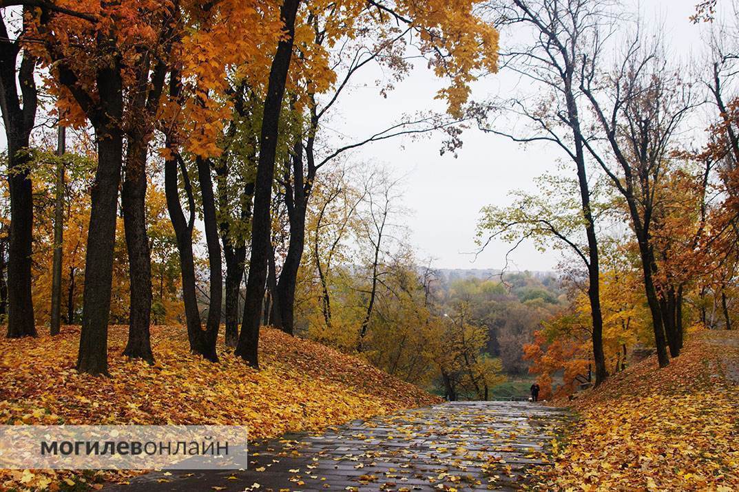 Посмотрите на волшебство любимого города в осенних фотографиях от «МогилевОнлайн»