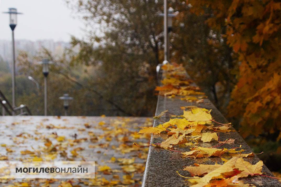 Посмотрите на волшебство любимого города в осенних фотографиях от «МогилевОнлайн»