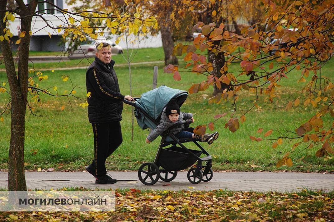 Посмотрите на волшебство любимого города в осенних фотографиях от «МогилевОнлайн»