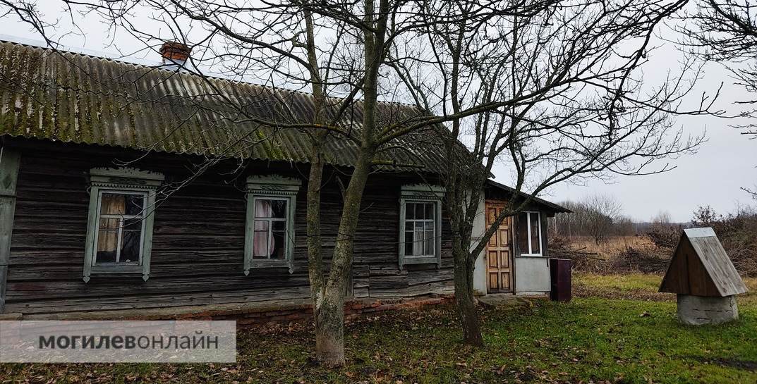 Мечтаете о даче или домике в деревне? Показываем дома в Могилевской области, которые продают за одну базовую