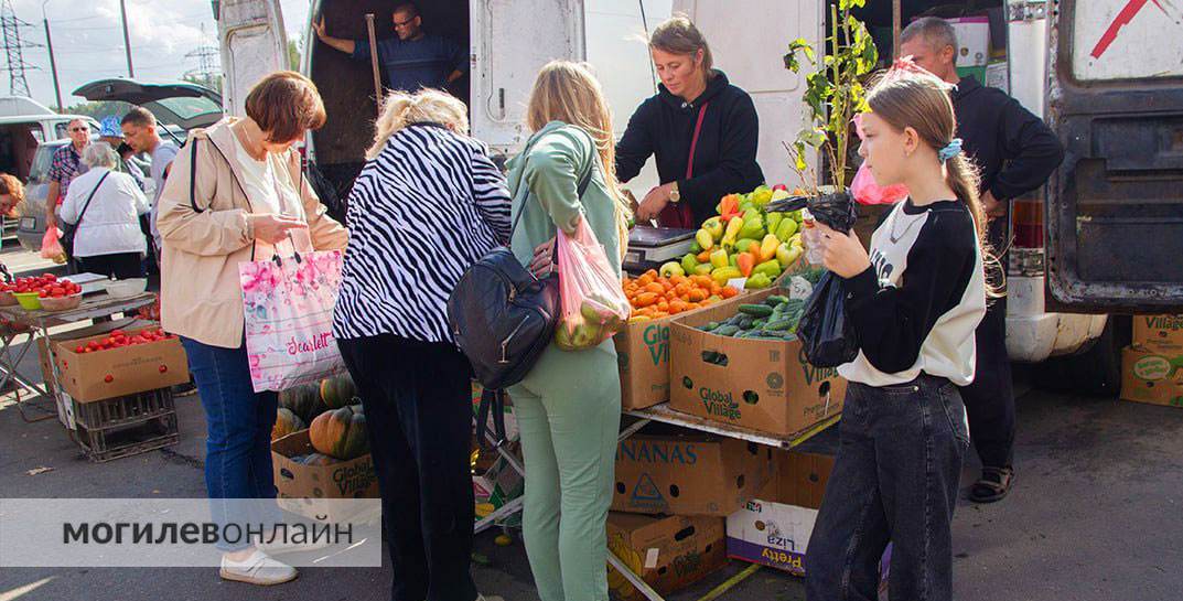 Сельскохозяйственные ярмарки в Могилеве продолжаются — смотрите, где на этой неделе можно пополнить витаминную корзину