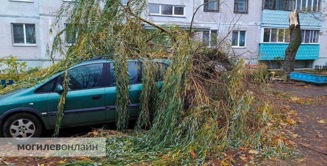 Во дворе на бульваре Непокоренных дерево упало на машину