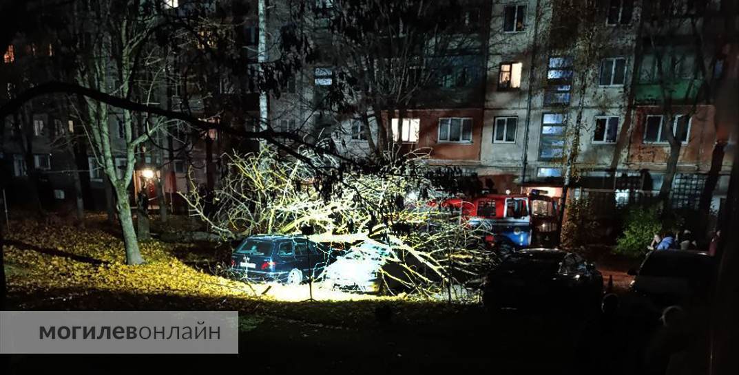 Во дворе на проспекте Димитрова дерево упало на машины