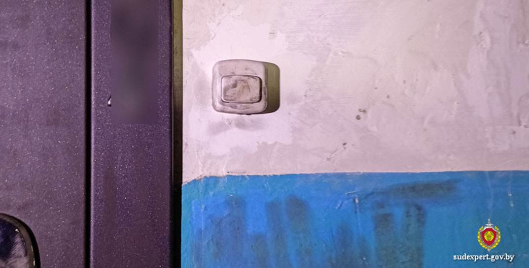 Пенсионерка из Могилева поверила, что ее дочь устроила ДТП, и отдала мошенникам почти $11 тысяч. Курьера установили по следу на дверном звонке