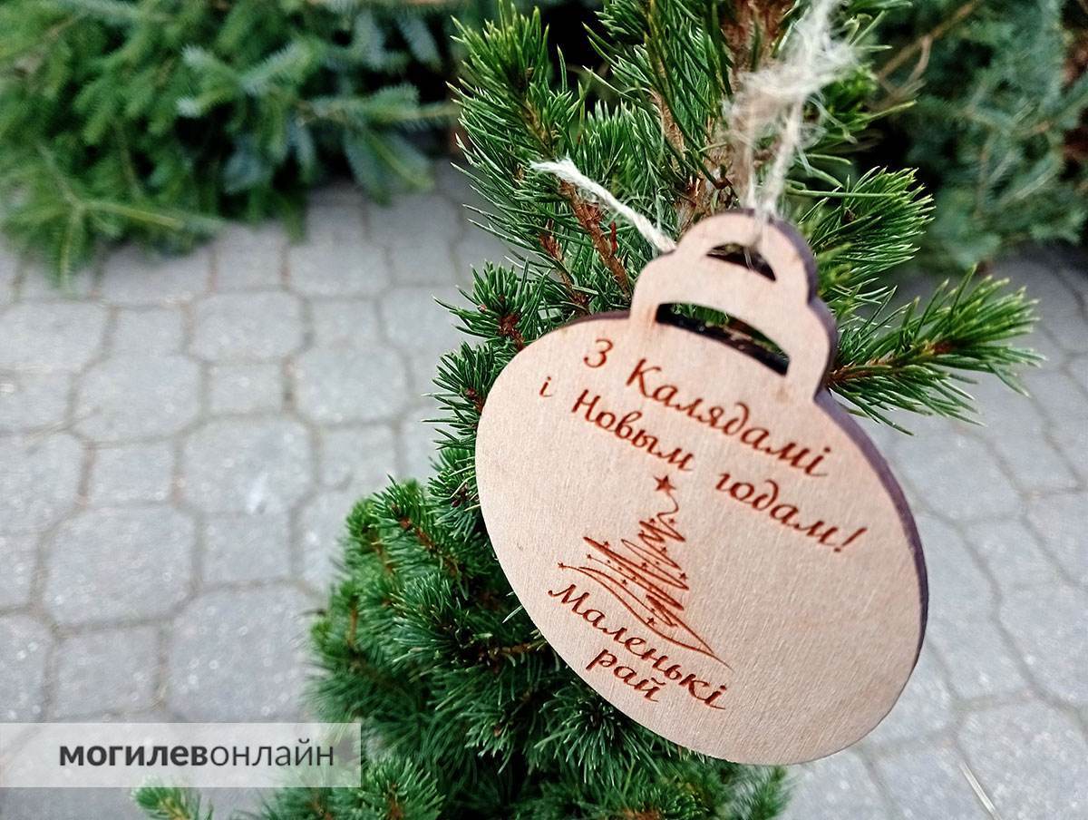 Елочные базары в Могилеве — почем новогодние деревья и где можно купить главный атрибут Нового года?