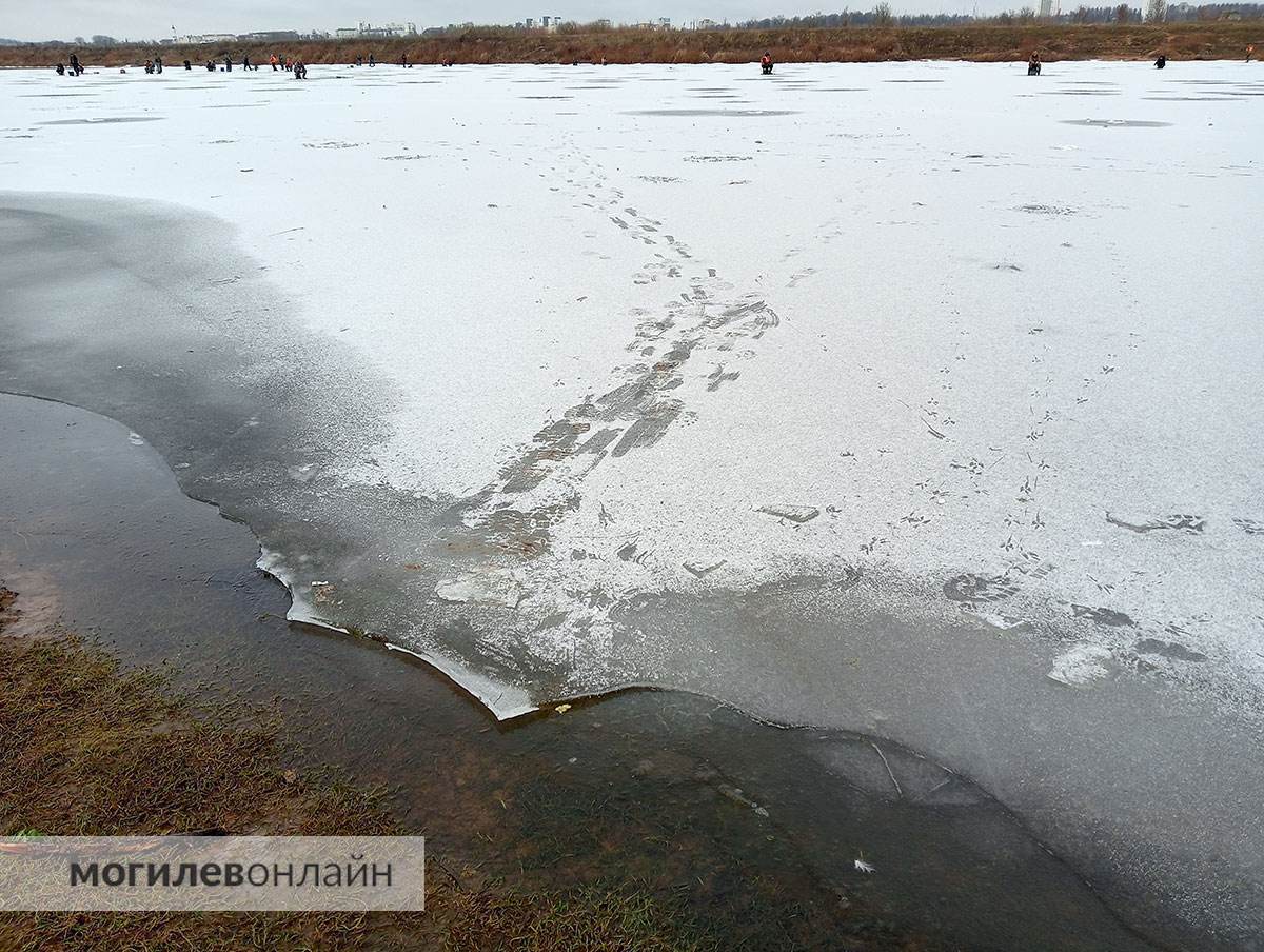 «Рыбалка на грани безумия или как сомнительный улов дороже собственной жизни» — посмотрите, как рыбаки в Могилеве выходят на незамерзший Фатинский залив