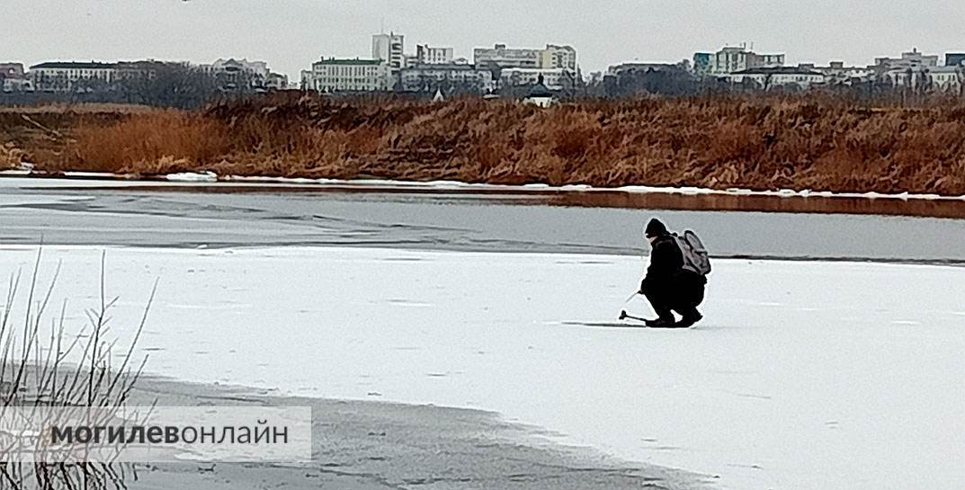 «Рыбалка на грани безумия или как сомнительный улов дороже собственной жизни» — посмотрите, как рыбаки в Могилеве выходят на незамерзший Фатинский залив