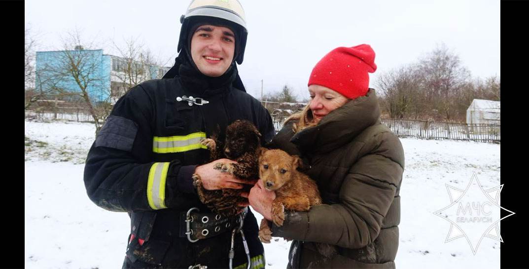 В Витебском районе спасатели достали из глубокой ямы двух щенков, которые сидели в западне около суток