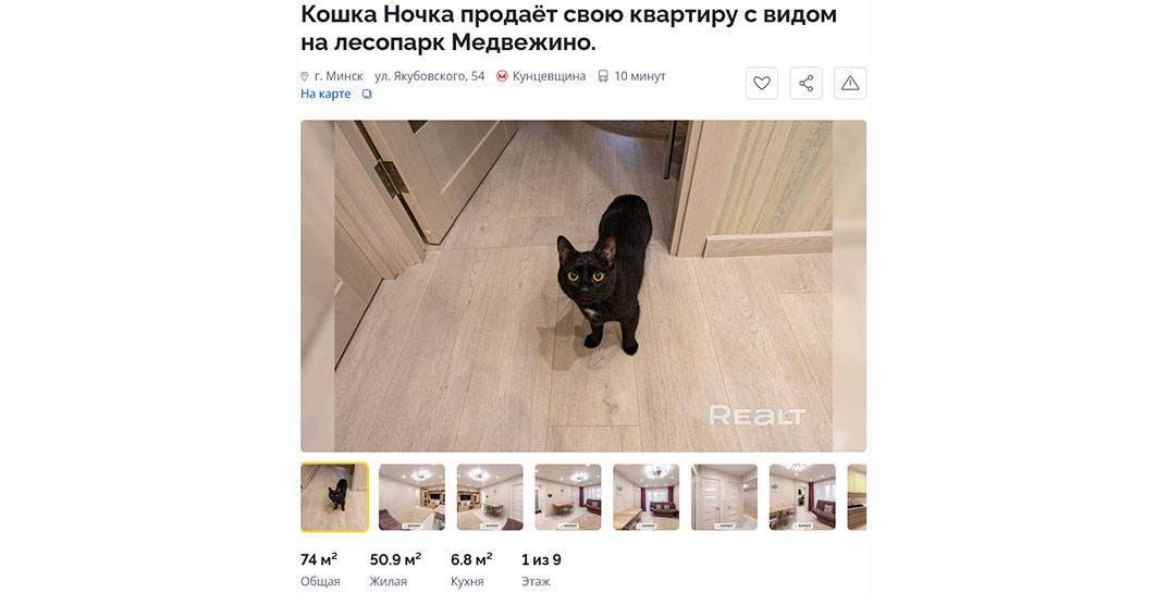 В Минске кошка продает «трешку» с интересной планировкой. Сколько просит за жилье?