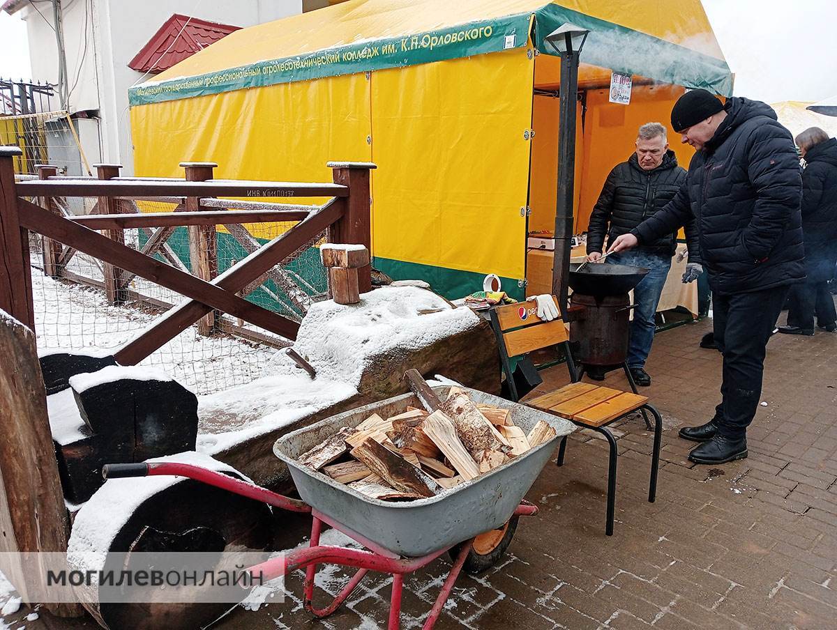 Душевно и без пафоса — в Могилевском зоосаду сегодня солдатская уха, скоморохи и песни под баян