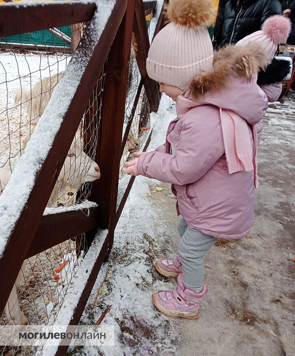 Душевно и без пафоса — в Могилевском зоосаду сегодня солдатская уха, скоморохи и песни под баян