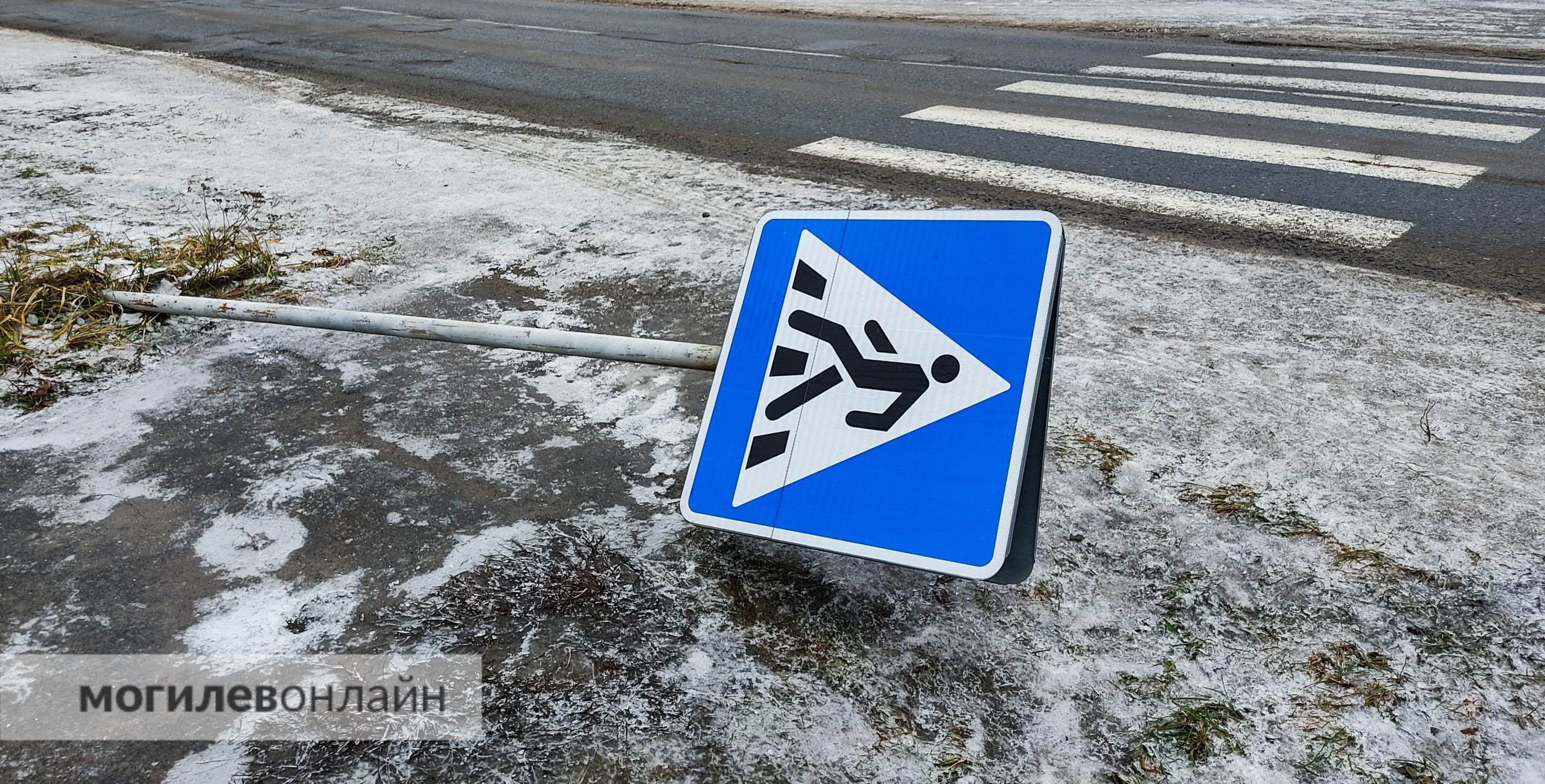 Жесть. В Бобруйске водитель ехал на красный и сбил на пешеходном переходе женщину и двоих детей