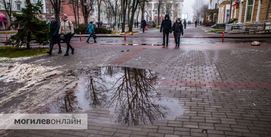 Зима выдалась аномально теплой, как и весь 2024 год. А ждать ли снега в феврале?