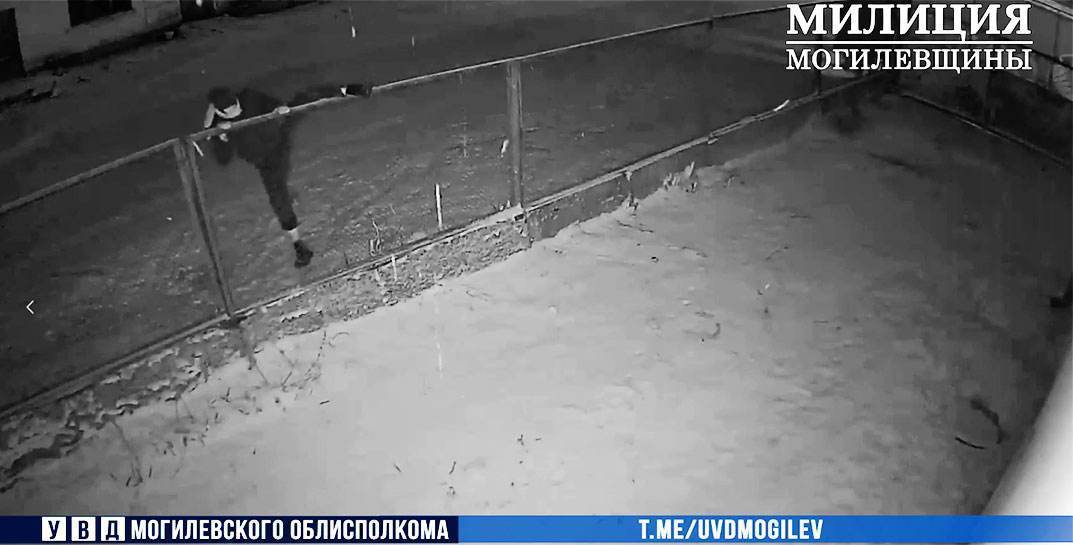 Ночной «ниндзя» украл выручку в могилевском кафе, пробравшись туда ночью через окно туалета