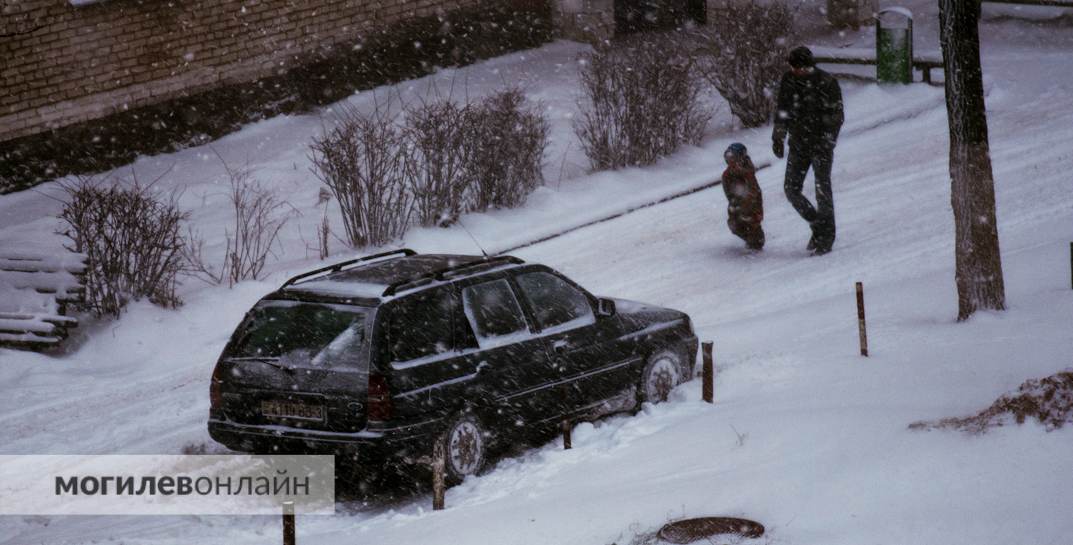 Снег все же выпадет? Погода в Могилеве на неделю с 10 по 16 февраля