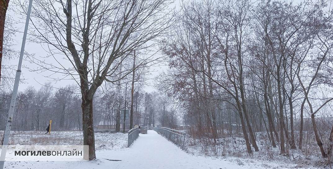 Дождались! В Могилев вернулась зима: в городе выпал снег