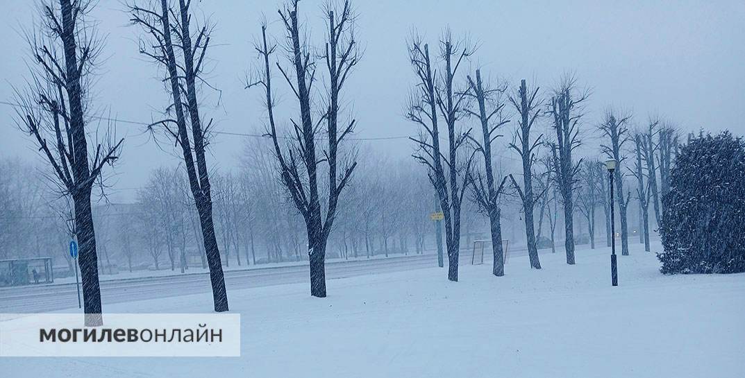 В Могилеве настоящая зимняя метель. Посмотрите, как накрывает снегом город!