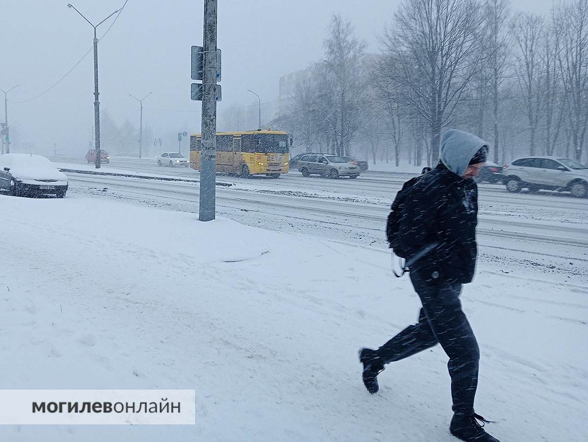 Метель в Могилеве