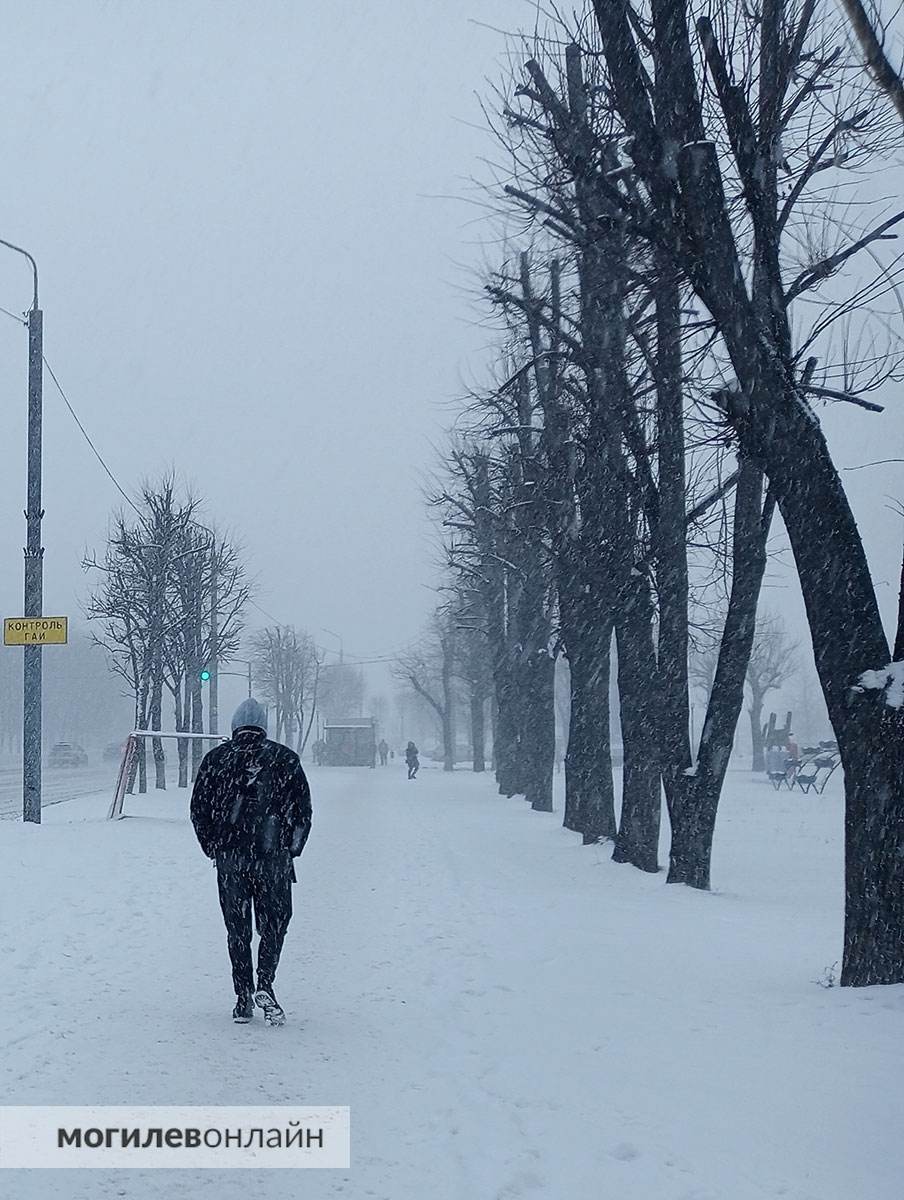 Метель в Могилеве