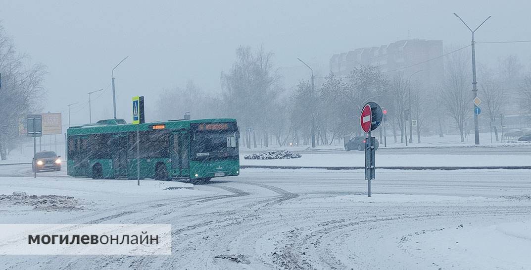 Метель в Могилеве