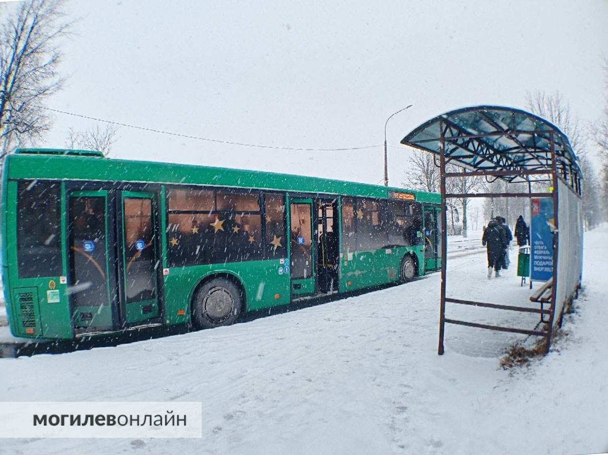 Метель в Могилеве