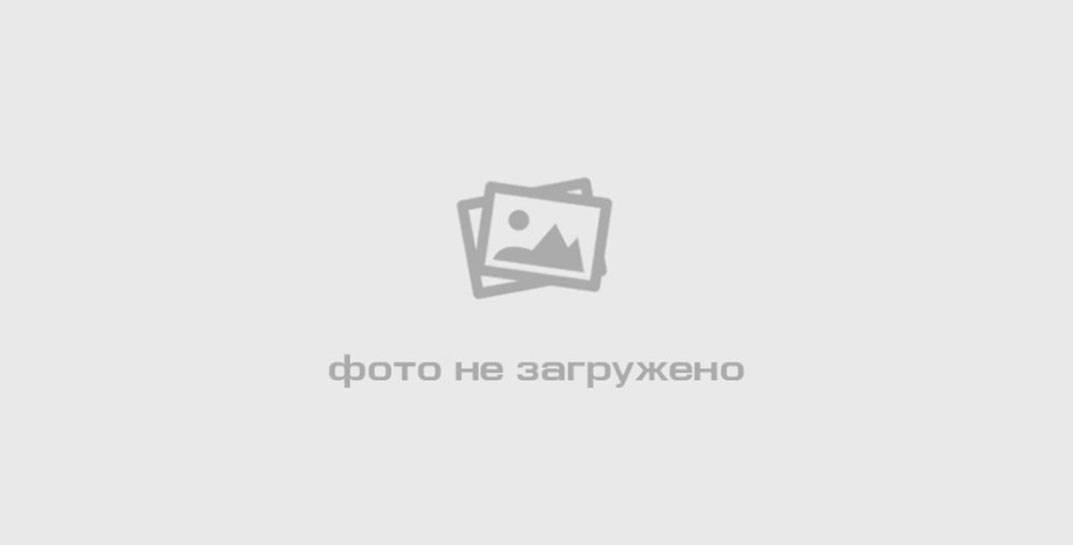 В Беларуси предложили по-новому продавать секс-игрушки. До 17 февраля можно высказать свое мнение