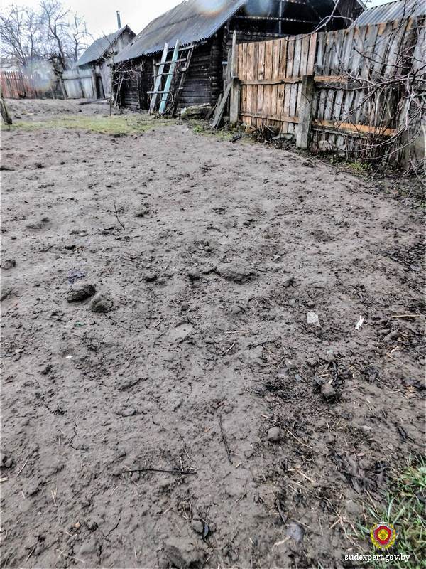 В Краснопольском районе сосед поджег сарай дачника из-за многолетней вражды. Что не поделили?