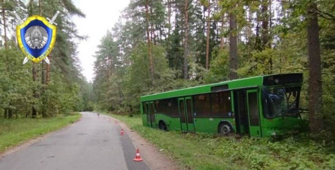 Следователи ищут пассажиров автобуса, который врезался в дерево под Могилевом