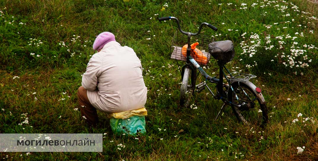 В Минтруда рассказали, кто в Беларуси может получить субсидию до 9000 рублей