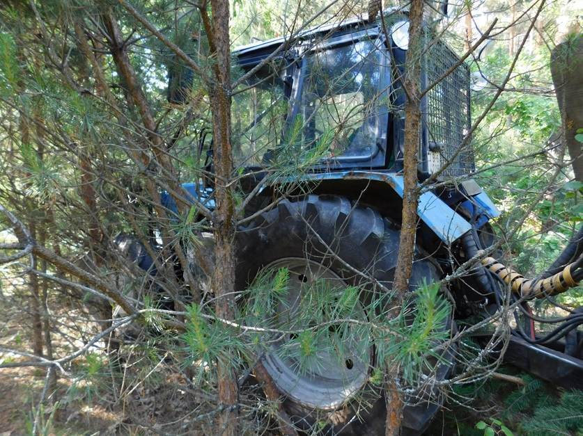 Под Бобруйском при столкновении трактора и маршрутки пострадали 5 человек, в том числе несовершелнолетняя. Выяснилось, кто был виновником ДТП