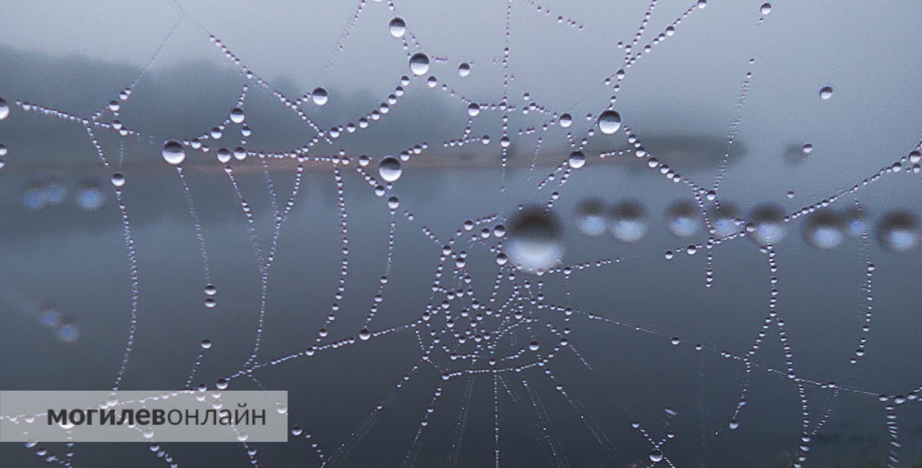 Стало известно, как часто белорусам диагностируют депрессию — ситуация грустнее, чем хотелось бы