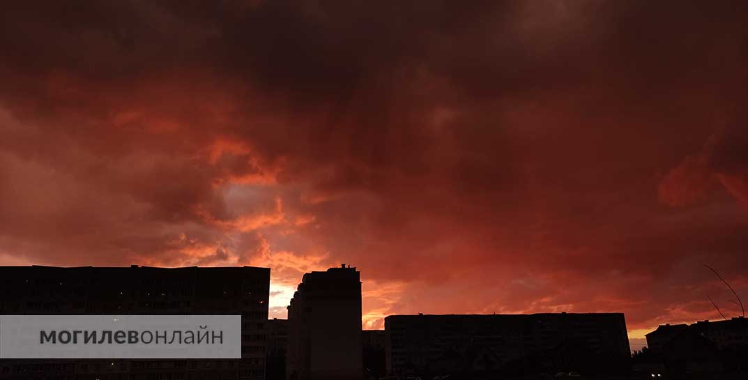 В Могилеве на завтра объявлен оранжевый уровень опасности из-за сильного ветра