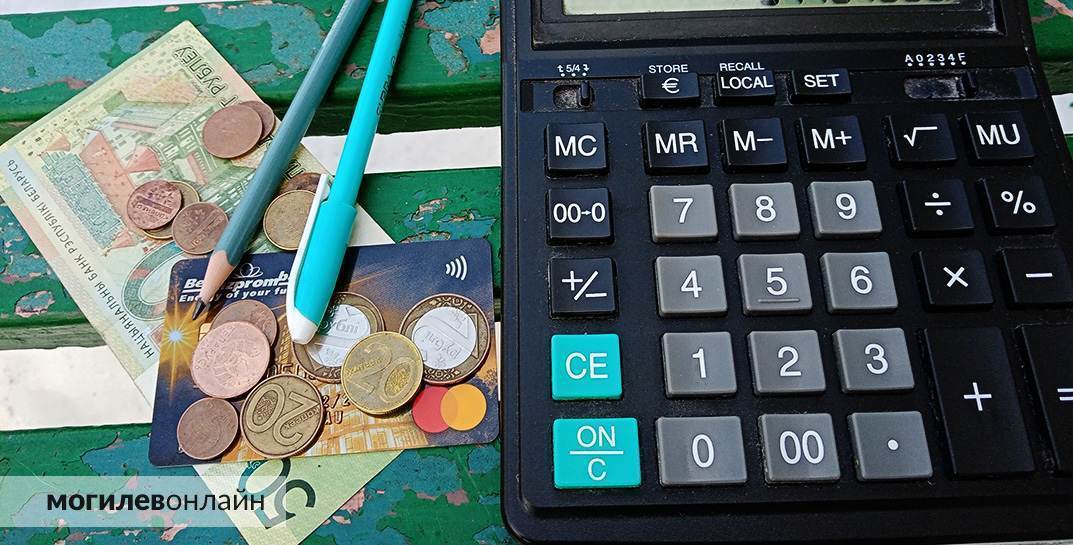 Частная фирма в Могилеве 5 месяцев не платила зарплату главному бухгалтеру. Работник пошел в прокуратуру