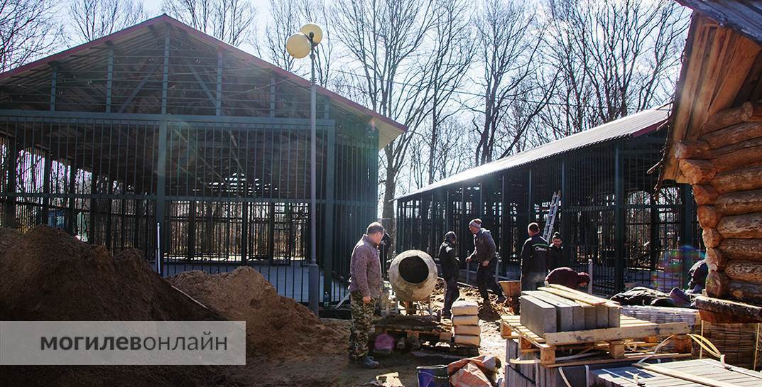 Через пару месяцев в Могилевский зоосад приедут новые жильцы — для них сейчас строят «королевские» апартаменты