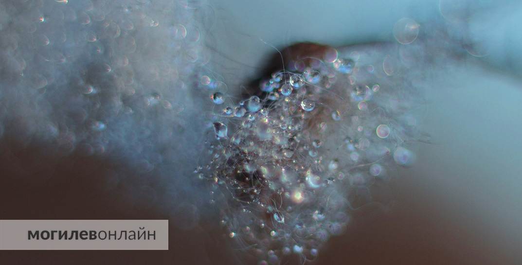 Фотограф «МогилевОнлайн» присмотрелся к мартовскому рассвету поближе — и вот что показал