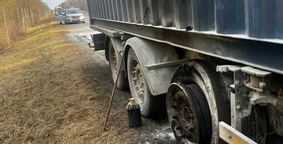 В Осиповичском районе на дороге загорелась машина и подожгла 1,6 гектара леса