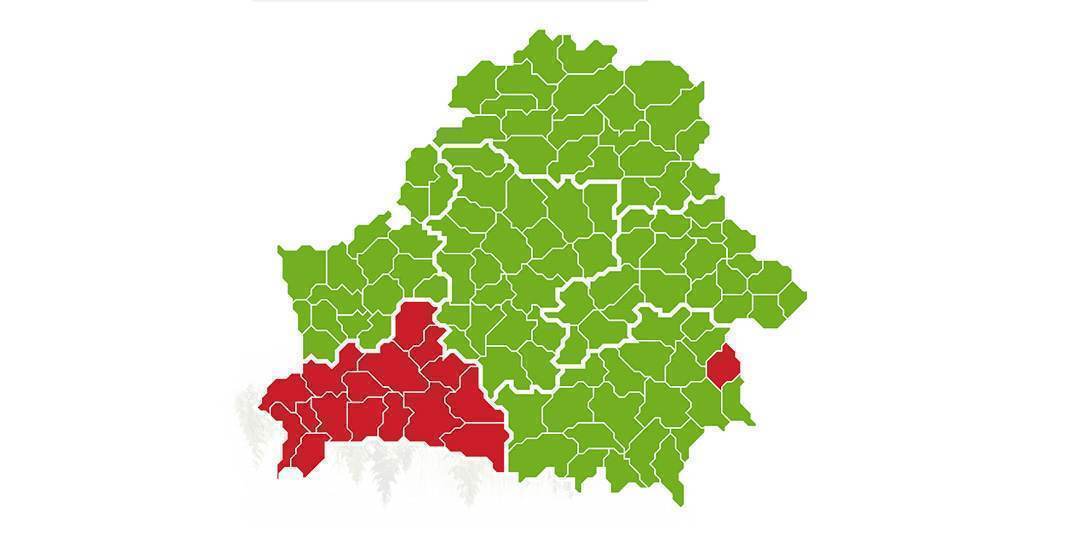 Первые запреты на посещение лесов этом году — в красной зоне вся Брестская область