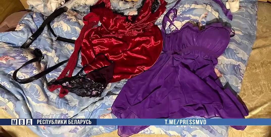 Снимала ролики со своим участием: бобруйские оперативники накрыли домашнюю порностудию, которую организовала 21-летняя белоруска