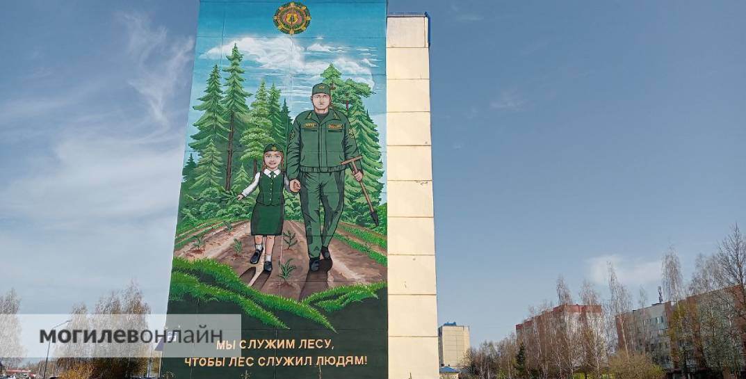 В Могилеве появился еще один новый мурал на фасаде многоэтажки