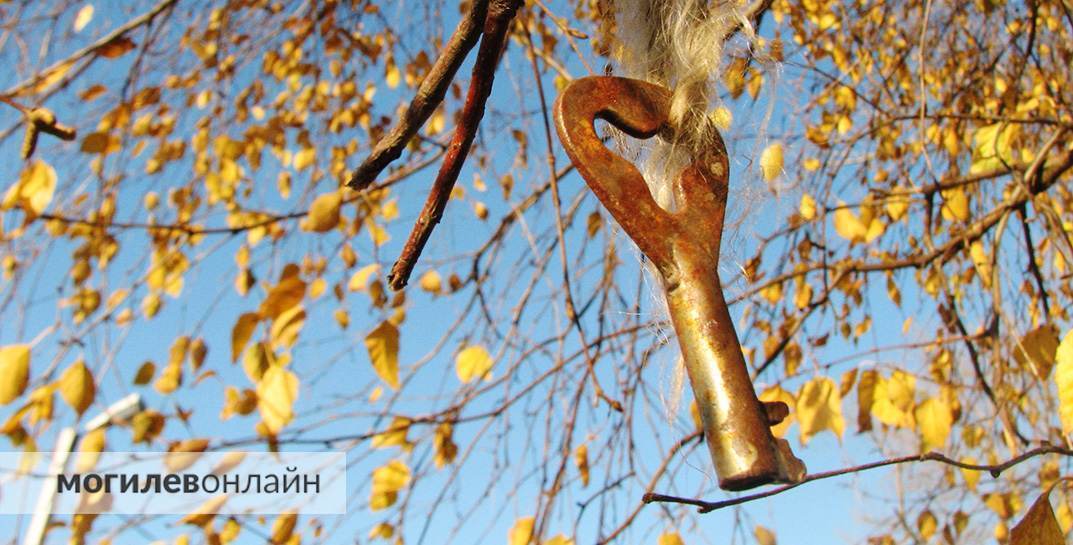 Белоруска сняла квартиру в Минске, но полученные от хозяйки ключи не подошли к замку. Что было дальше?