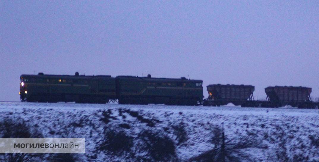 Последствия непогоды: в Могилевской области с железнодорожных путей убрали более 500 упавших деревьев