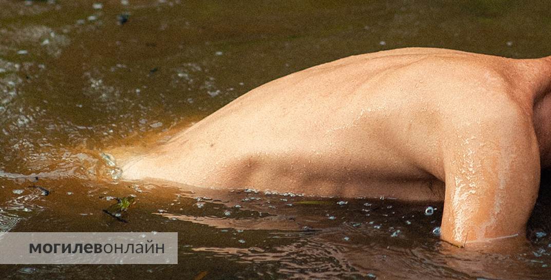 В Гродно грузчик отсудил у предприятия около 9 000 рублей за травму позвоночника