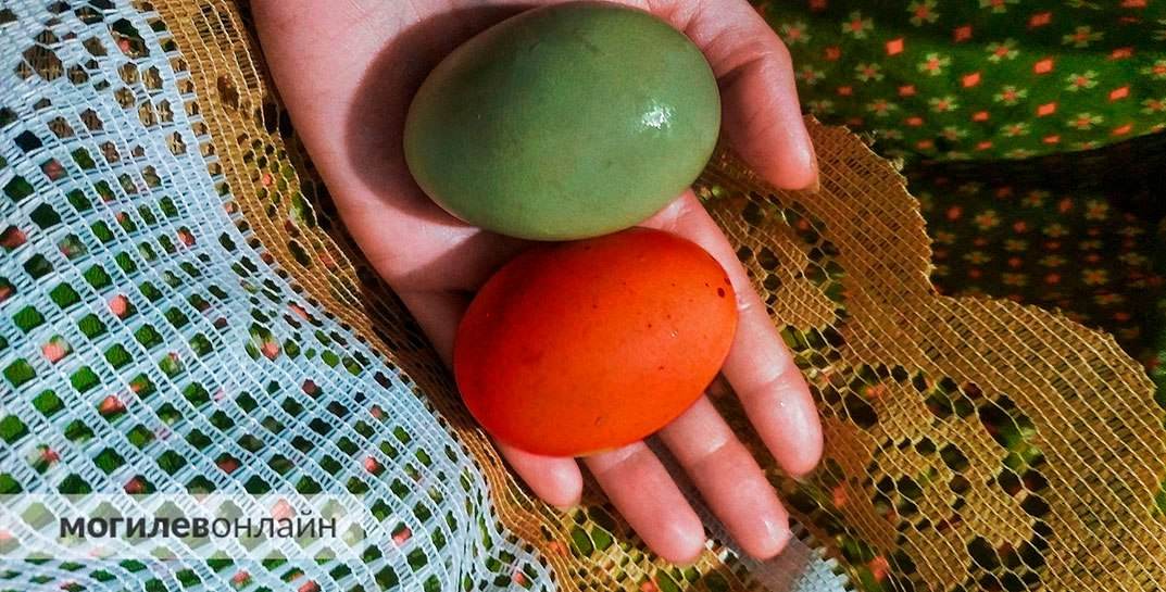Скоро Пасха! Белорусские эпидемиологи рассказали, сколько можно хранить вареные яйца и как выбрать куличи в магазине