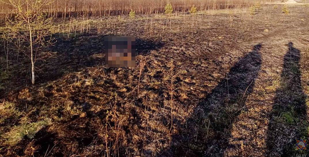 В Чериковском районе пенсионер сгорел вместе с сухой травой