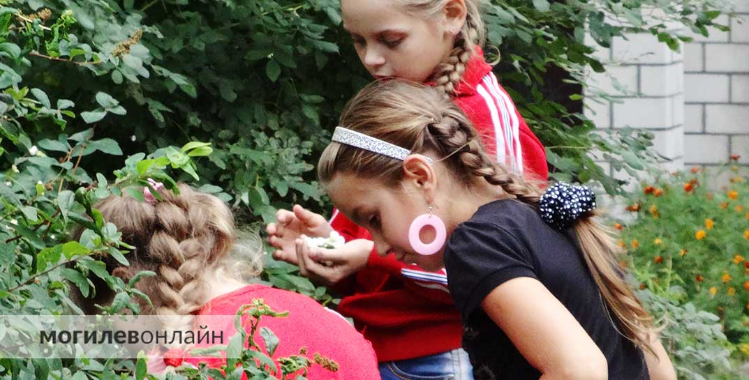 В детских лагерях родительские дни будут сведены к минимуму — это почему?