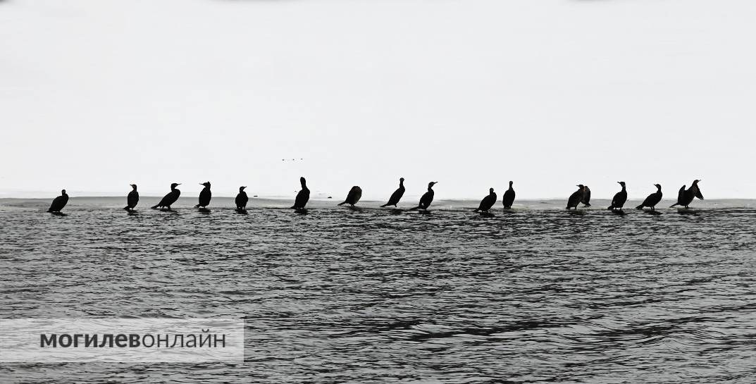 Спрятали зимнюю куртку? Доставайте обратно — на Беларусь идет снег, метели и до −9