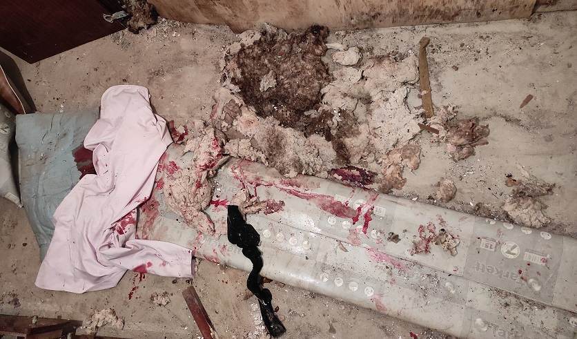 «Бил руками, ногами, ножом, топором и вилами» — раскрыты подробности жестокого убийства женщины в Витебском районе
