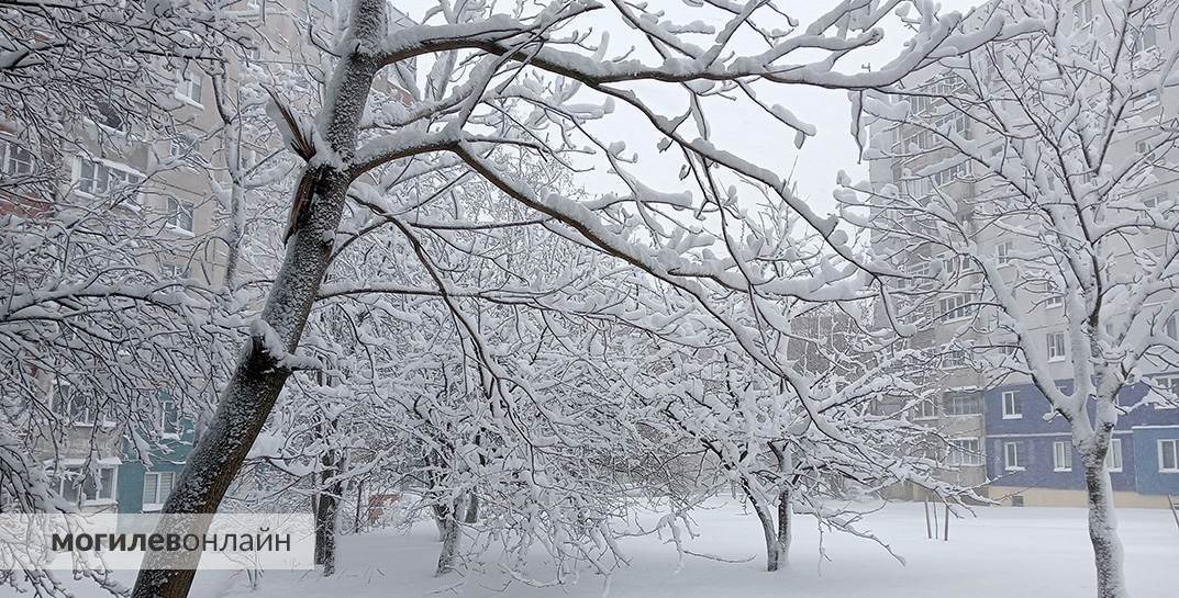 В Могилеве выпал снег