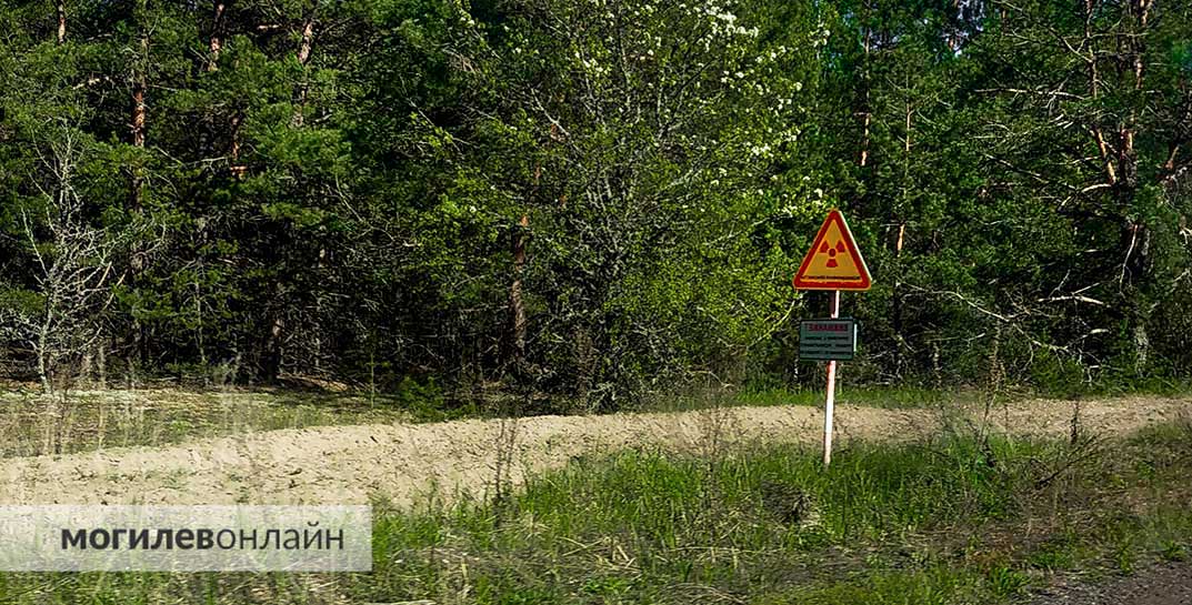 Хорошая новость: на Радуницу в зону отчуждения теперь можно будет попасть без пропуска