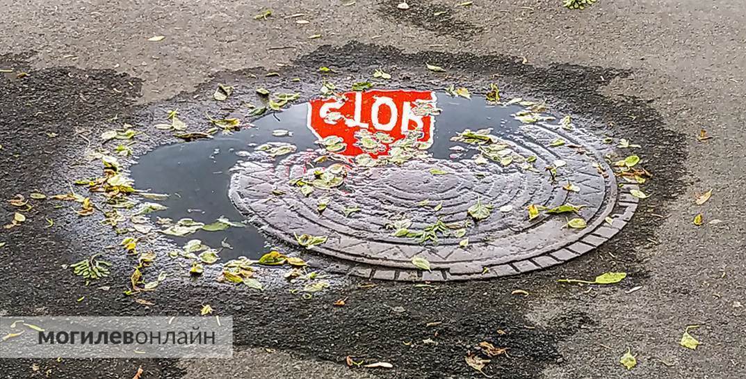 В Быховском районе водитель объезжал выбоину на дороге и случайно наехал на пешехода. Вот детали нелепого смертельного ДТП
